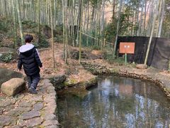 -山沟沟景区