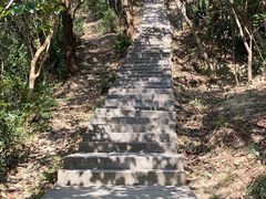 -梧桐山风景名胜区