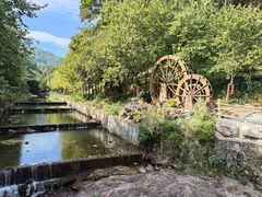 -广州白江湖森林公园