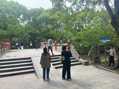 -南汇桃花村