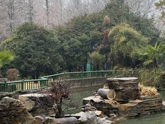 -东湖落雁景区