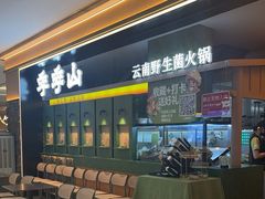 -季季山·云南野生菌火锅(上海首店)
