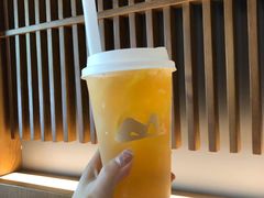 柠檬水仙-一叶觅山(半边街店)