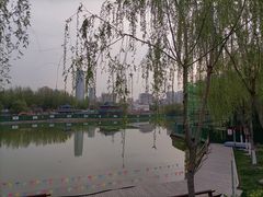 -雁滩公园