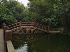 -大屏嶂森林公园