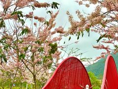 -白石龙音乐公园