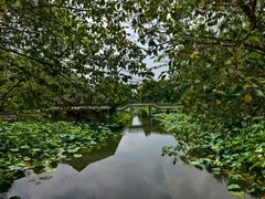 -溱湖国家湿地公园