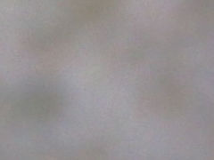 android_upload_pic-年辉渔村
