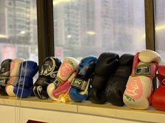 -温鉴良实用咏春拳