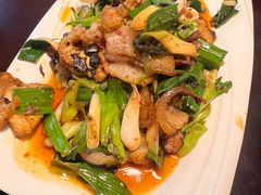 -陈麻婆豆腐总店
