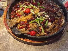 -老板恋上鱼(恒隆广场店)