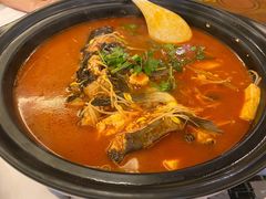 酸汤乌江鱼-贵州大厦贵州厅(樱花园西街店)