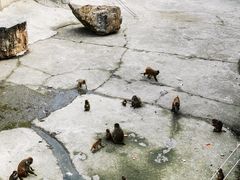 -无锡动物园·太湖欢乐园
