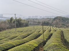 -敬亭山风景名胜区