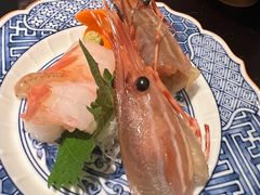 -鲤·鮨KOISUSHI