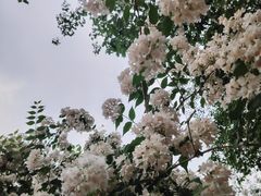 -老君堂公园