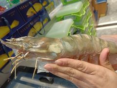 -海铺·渔家虾水饺(皇姑店)