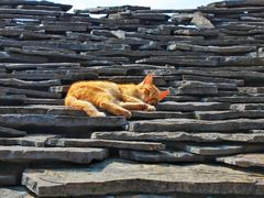 -高荡千年布依古寨旅游景区