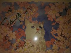 -猫的天空之城概念书店(印象城购物中心店)