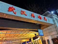 -武汉关码头(轮渡站)