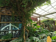 -呀路古热带植物园