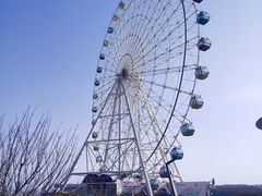 -琴岛之星摩天轮