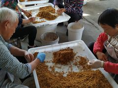 -苏州市吴中区光福窑上花果蜜饯厂