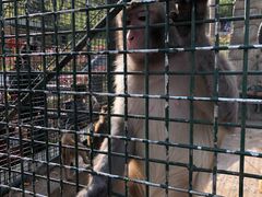 -南京金牛湖风景区