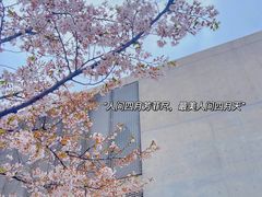 -龙美术馆(西岸馆)