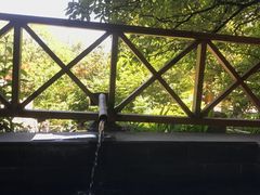 -黄山温泉国际旅游度假区