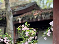 -惠山古镇·寄畅园