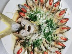 -大班家政月嫂育儿嫂(深圳NO.1店)