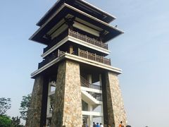 -大湾区中央湿地公园