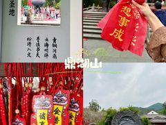 -鼎香皇高佬苏裹蒸粽