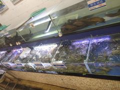 水产区-欢乐海岸美食联盟