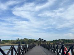 -溱湖国家湿地公园