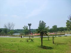 -盘龙城国家考古遗址公园