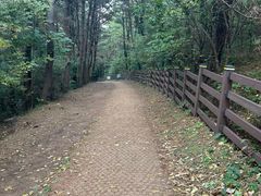 -松岳山