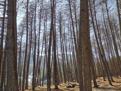 -硗碛藏寨·神木垒景区