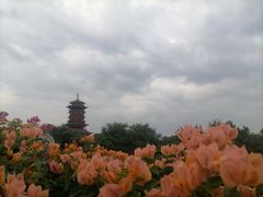 -厦门园林博览苑