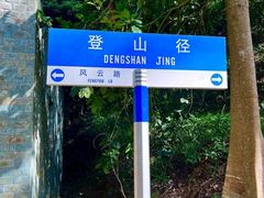 -风云岭森林公园
