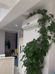 -花颜悦色款式美甲美睫