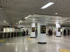 -陆家浜路(地铁站)