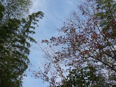 景点-桂山风景旅游区
