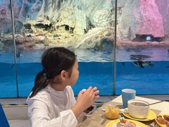 -帝企鹅自助餐厅•儿童岛•真企鹅(长隆企鹅酒店)