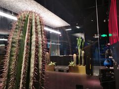 -TOP健身私教工作室(侨香店)