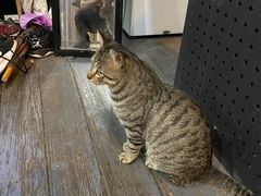 -洛克公园·篮球·足球·羽毛球(莘庄店)