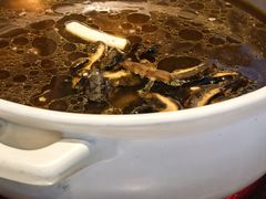 -爱膳菌锅锅(阳南店)