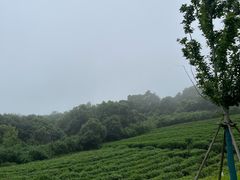 -南北湖风景区