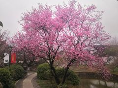 -西山风景区
